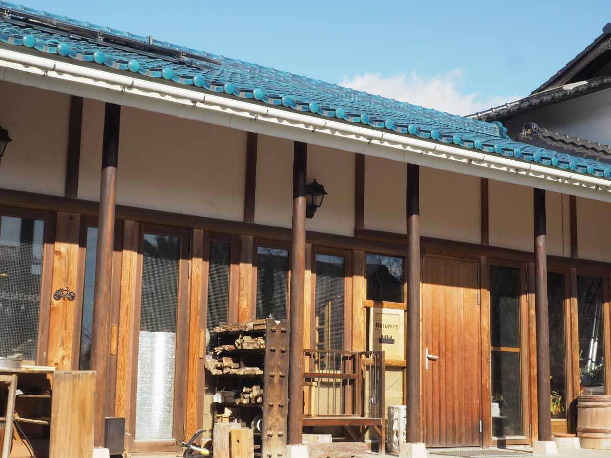 interview-harunire-3